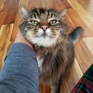 Meet your Posher, Melina